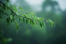 清明气候特点及农事安排