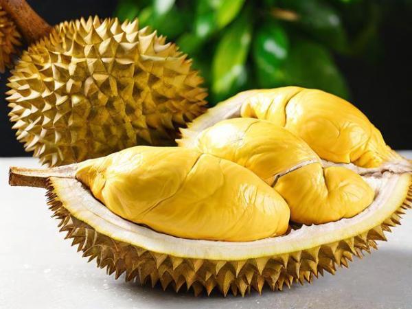 月经期能吃榴莲吗